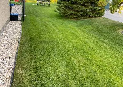 Winnipeg companies who do landscaping