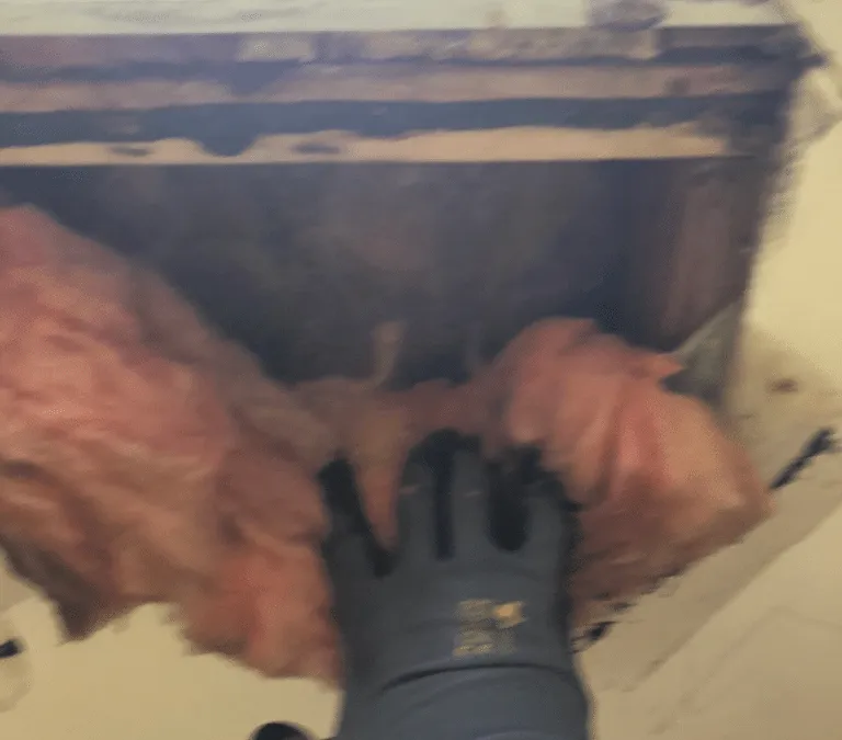 Interior Destructive Testing