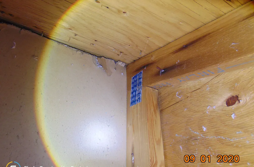 Ellen Street Attic Inspection building #9