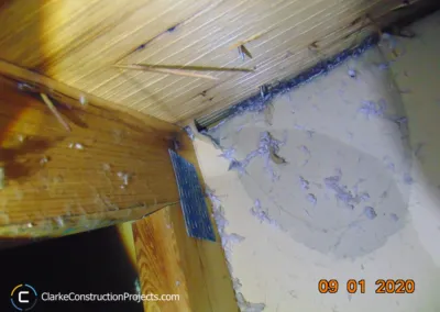 building-inspection-services