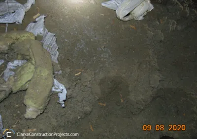 building-inspections