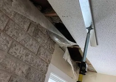 Clarke Construction Projects removes mold