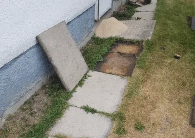 companies who build sidewalks