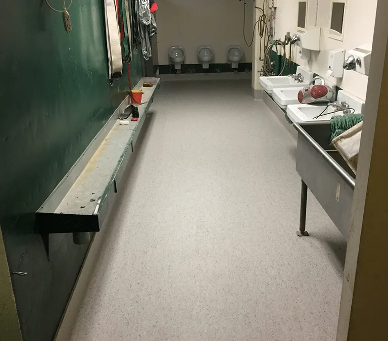 Assiniboia Downs Bathroom Flooring Renovation