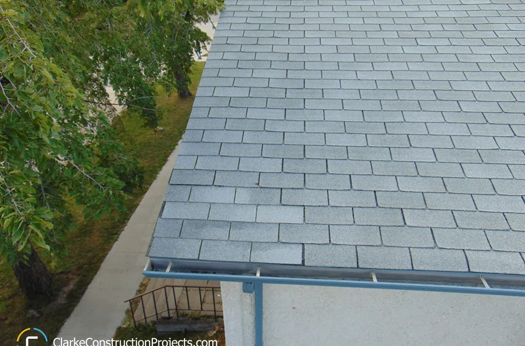 Ellen Street Roof Inspection Building #9