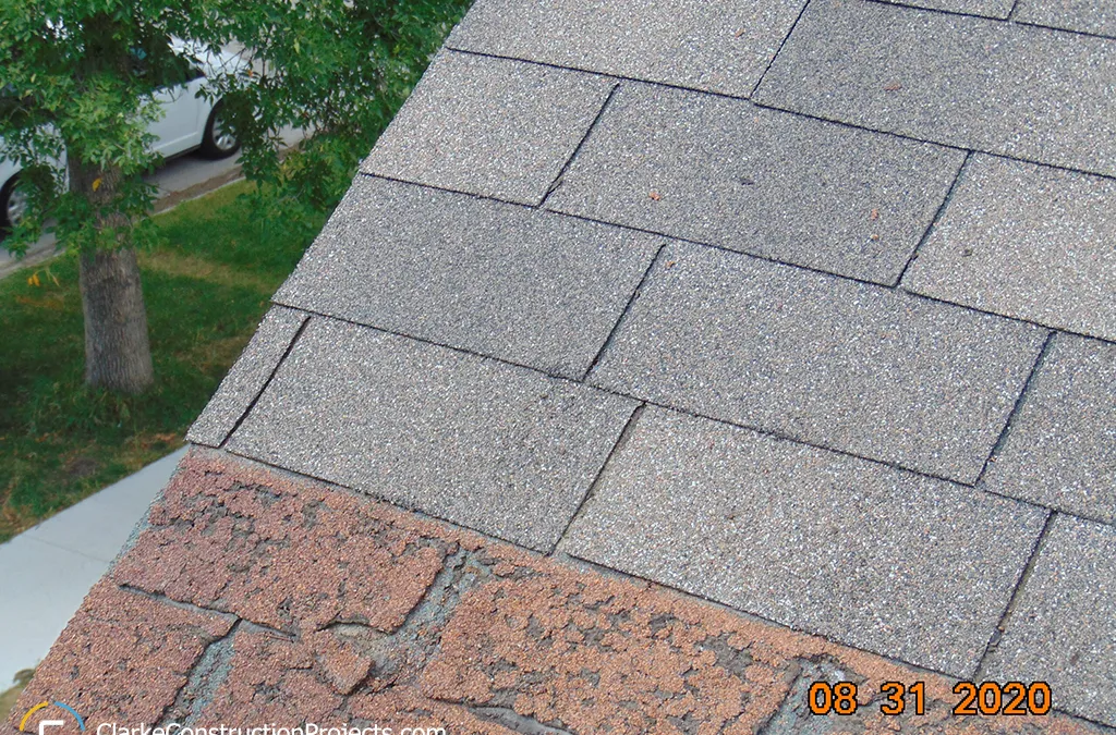 Ellen Street Roof Inspection Building #14