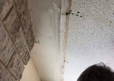 how to get rid of mold