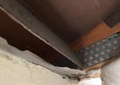 how to remove mold