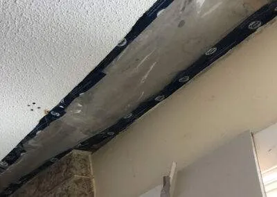 who removes mold in winnipeg
