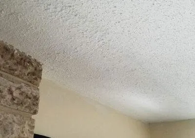 who to call to remove mold