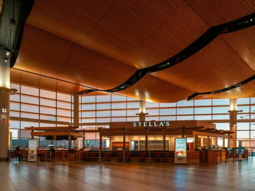 stellas-3-s_1000x667